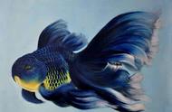 鹦鹉鱼和金鱼色彩鲜艳的饲料配方及其增艳原理解析