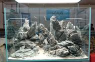 韩国水族展现场：大师级草缸作品展示