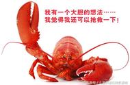 将小龙虾称为“小龙虾”可能会引起误解！