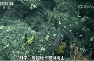深海底的神秘发现：科学号找到了数千岁的珊瑚！
