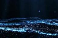 揭秘斑马鱼对称之美：探索自然规律与细胞分裂镜像性