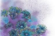 你能识别出这些珊瑚品种吗？