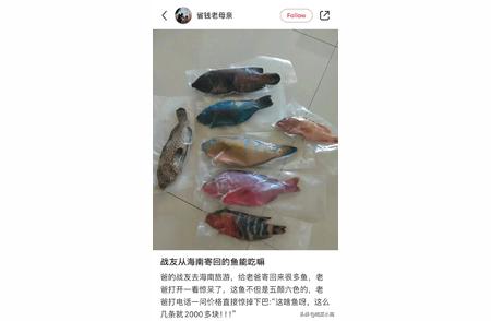 五颜六色的鱼真的可以食用吗？