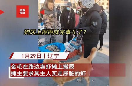 宠物狗在虾摊上留下痕迹，简单擦拭就能解决吗？