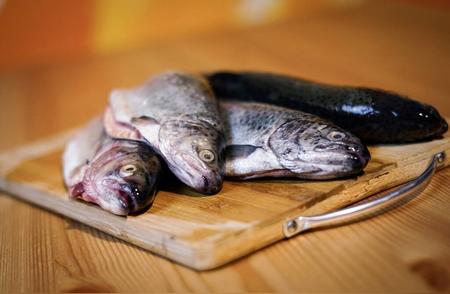 避免食用这些鱼类：重金属含量可能超出安全标准！
