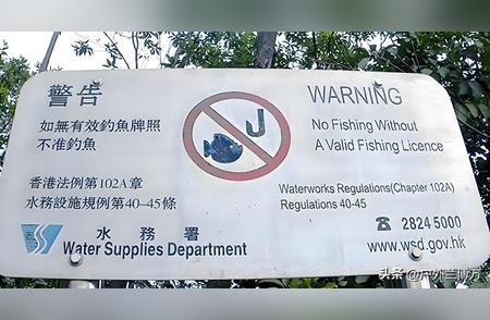 钓鱼许可制度：这些国家的常规做法