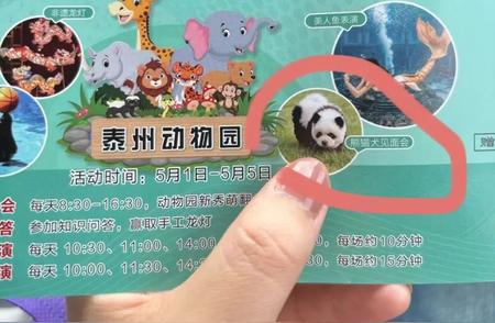 泰州动物园染犬为“熊猫”：纯天然染发剂使用揭秘