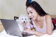 六种受女性欢迎的狗狗品种，网友评论：养了它们幸福感满满