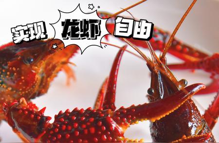 韶关钓虾胜地：一下午收获满满的小龙虾乐趣！