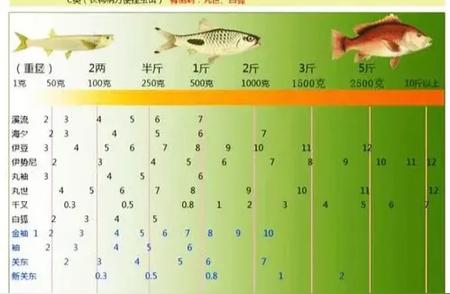 选择钓鱼钩的指南：类型与尺寸完美匹配