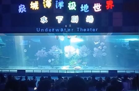 【探秘安茂县】发现全球最迷人的红珊瑚：美人鱼的秘密