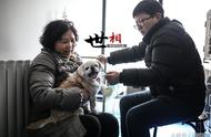 宠物界的疗愈专家：朱大湿和他的心灵伴侣狗狗