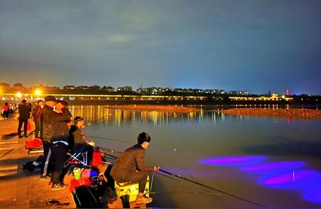 夜间垂钓完全指南：掌握季节选择、最佳时段、实用技巧与安全要点