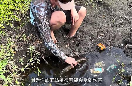 男子与伴侣冒险进入佛罗里达沼泽，只为拯救珍稀观赏鱼