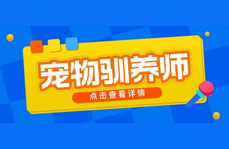 2024年宠物训练师证书指南：报名条件与职业展望