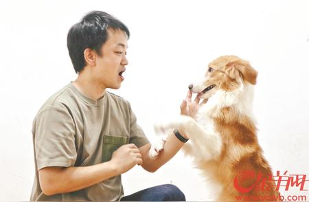 《狗德班》热潮中的专业驯犬师：训练犬只，启迪人类