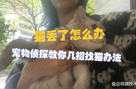 「失踪猫咪搜索指南」走失宠物寻回技巧