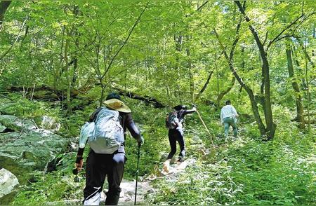 徒步登山：探索自然的怀抱