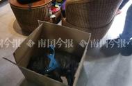 柳州宠物寄养悲剧：价值1.5万元的狗狗不幸去世，责任归属成疑