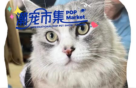 加入5月广州国际宠物展，一起在市集上创造销售奇迹！