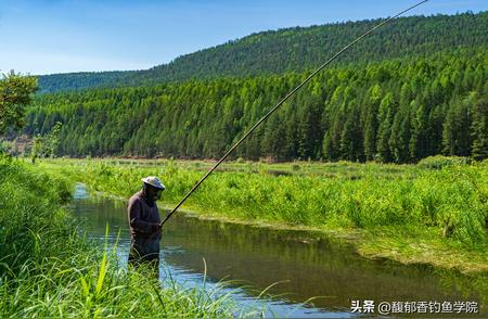 溪流钓技巧：掌握这5个要领，成为野钓高手