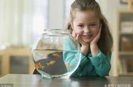 儿童节惊喜：为孩子准备一个鱼缸，让他们的童年更加快乐！