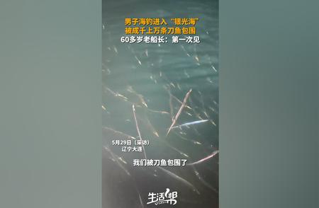 男子海钓奇遇：被成千上万条刀鱼包围的震撼瞬间