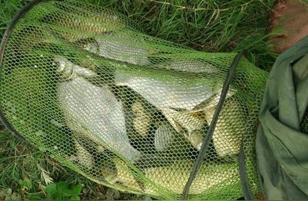 揭秘夏季野钓技巧：轻松钓获目标鱼