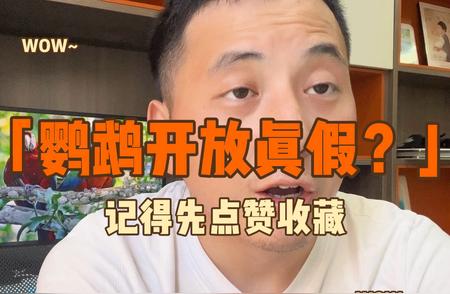 解密鹦鹉开放消息：真相究竟如何？