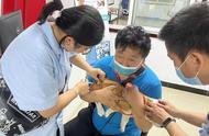 北京社区免费为宠物注射狂犬疫苗，关爱动物健康从我做起