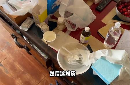 探索宠物医疗：对西方方案的反思