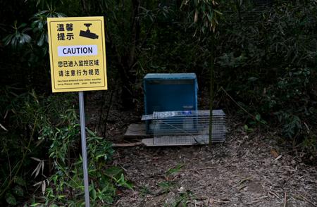 上海嘉定TNR项目：探索流浪猫管理新路径