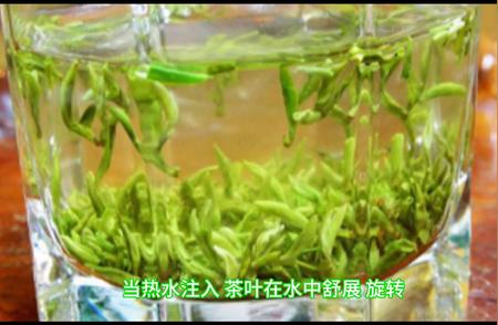 碧螺春：品味千年名茶的魅力