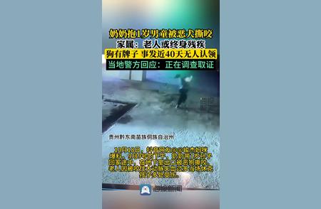 悲剧！奶奶抱男童遭恶犬袭击，终身残疾风险当地警方回应