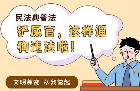 遛狗新规定：了解你的权益与责任