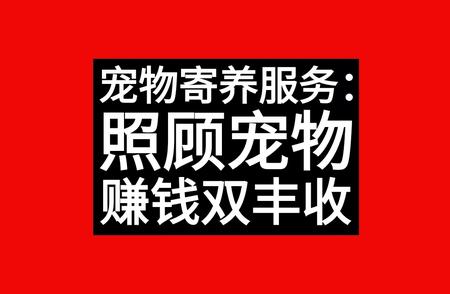 宠物寄养服务：让你的宠物享受专业照顾，你也能轻松赚钱