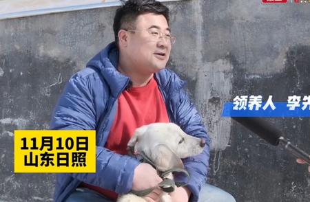 日照流浪犬免费领养日，爱心市民助力温暖回家