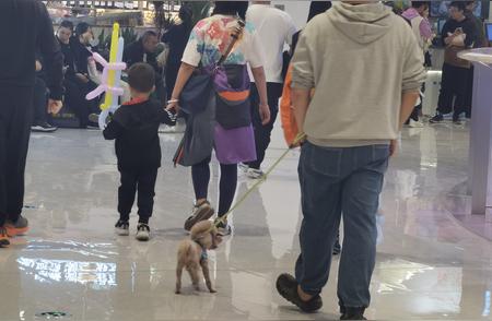 探究“宠物友好”商场引发的争议：带狗逛商场不守规矩谁之过？