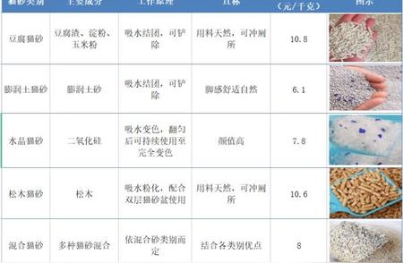 2023年猫砂测评报告：选对猫砂，做快乐铲屎官！