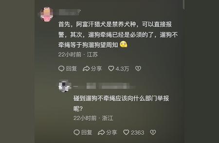 女子车库遭遇阿富汗猎犬：惊吓与网友评论