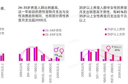 洞察消费者心智：揭秘宠物品牌的成功秘诀