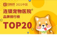 2021中国连锁宠物医院品牌排行榜TOP20：哪些品牌荣登榜单？