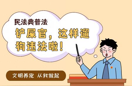 遛狗新规定：了解你的权利与责任