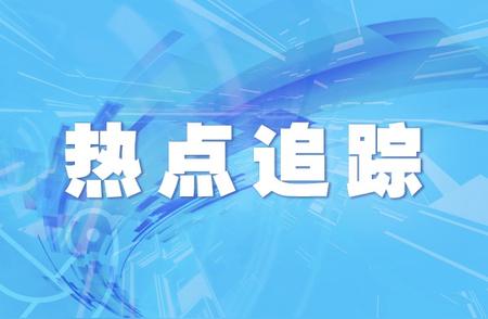 探讨宠物离世的仪式感：殡葬行业的温暖视角