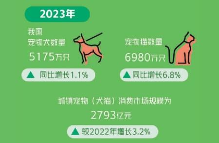 1.2亿只宠物的消费力量：揭秘市场真实规模