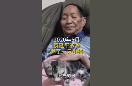 袁隆平的猫：稻田的守护者，情感的纽带