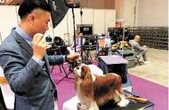 第八届中国（廊坊）宠物展：探索宠物行业的最新动态