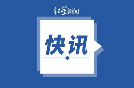 江苏沛县：宠物市场停业整顿，市民期待行业新规范