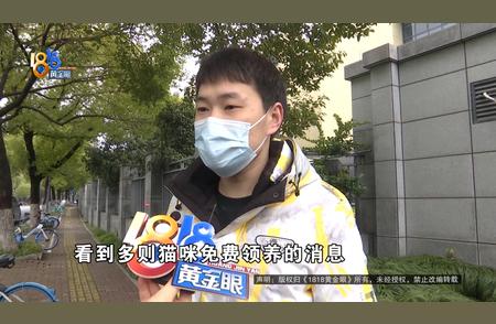 探索宠物领养新模式：为宠物找到永恒的家