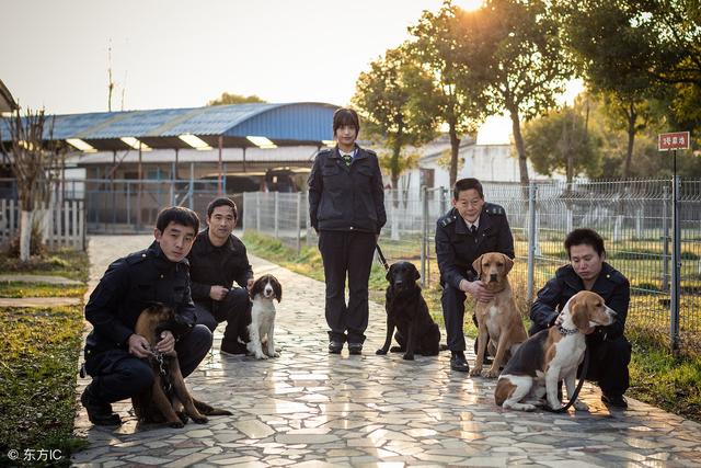 上海训犬师的日常 经营狗狗的“黄埔军校” 并提供宠物墓地